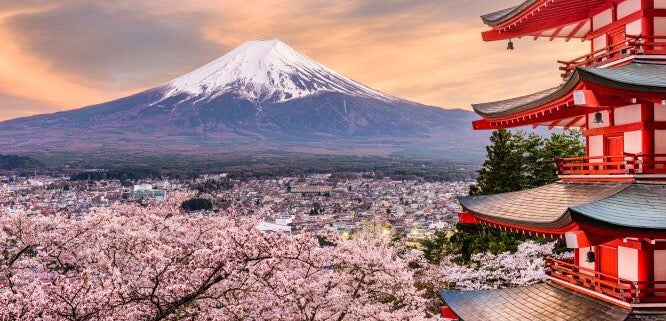 Retrostank Beauty Japanese Cherry Blossom Shea Butter