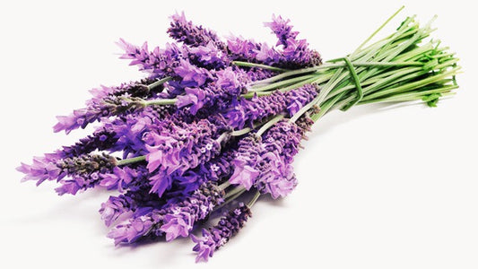 Retrostank Beauty Lavender Scented Shea Butter