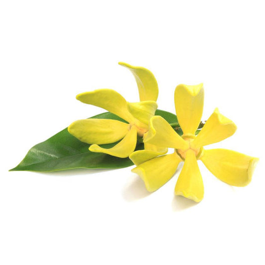 Retrostank Beauty Hibiscus Ylang-Ylang Scented Shea Butter